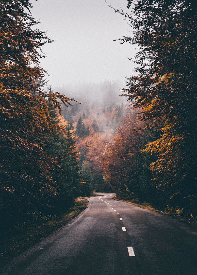 Autumn in Romania