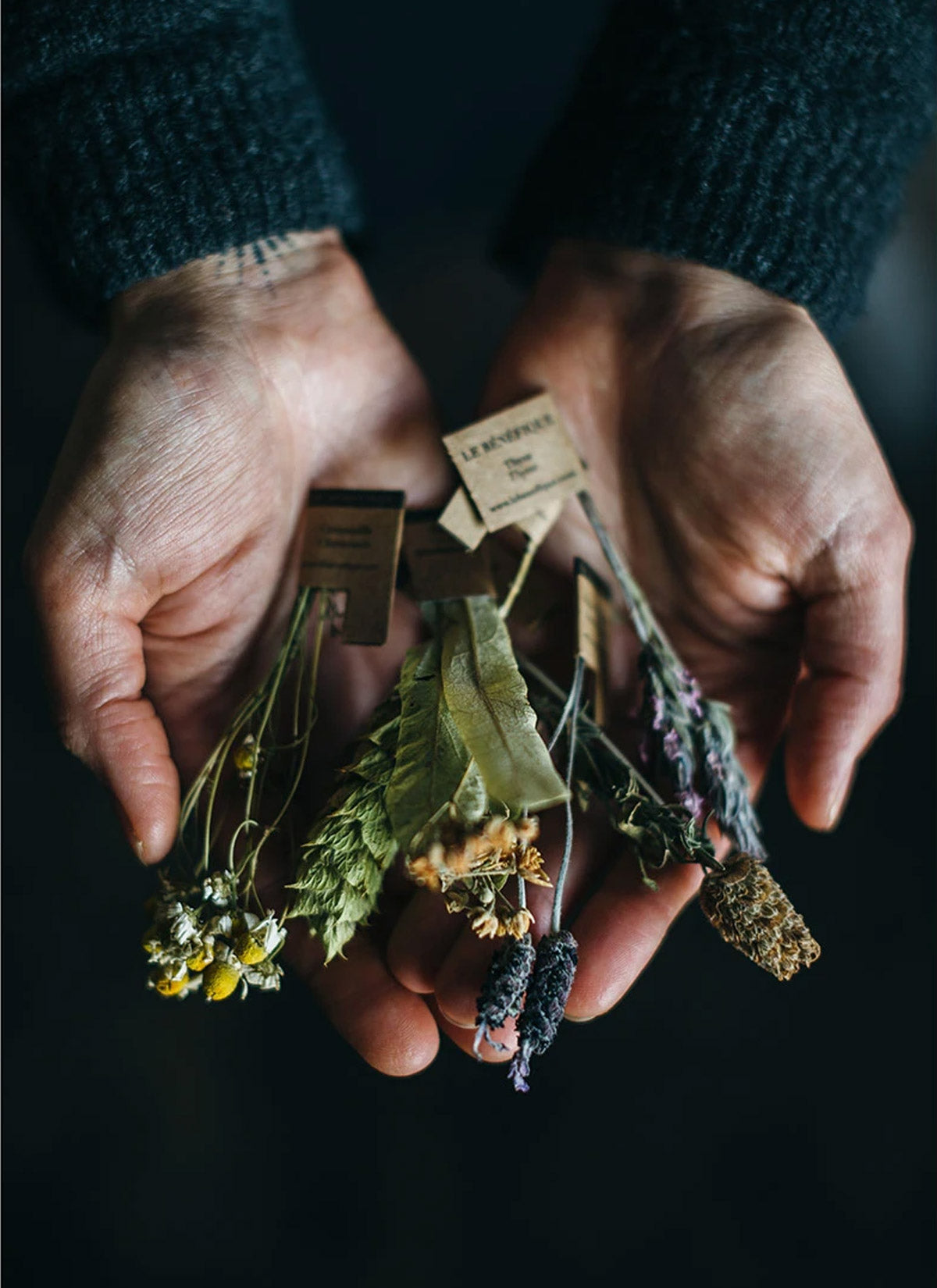 Organic Herbal Tea Stems Celebration Box