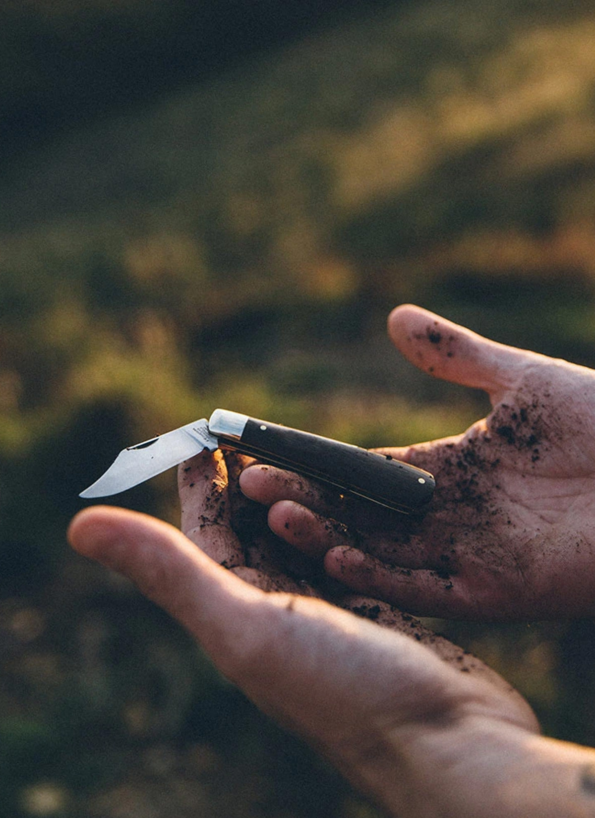 British Made Pocket Knife - Rosewood