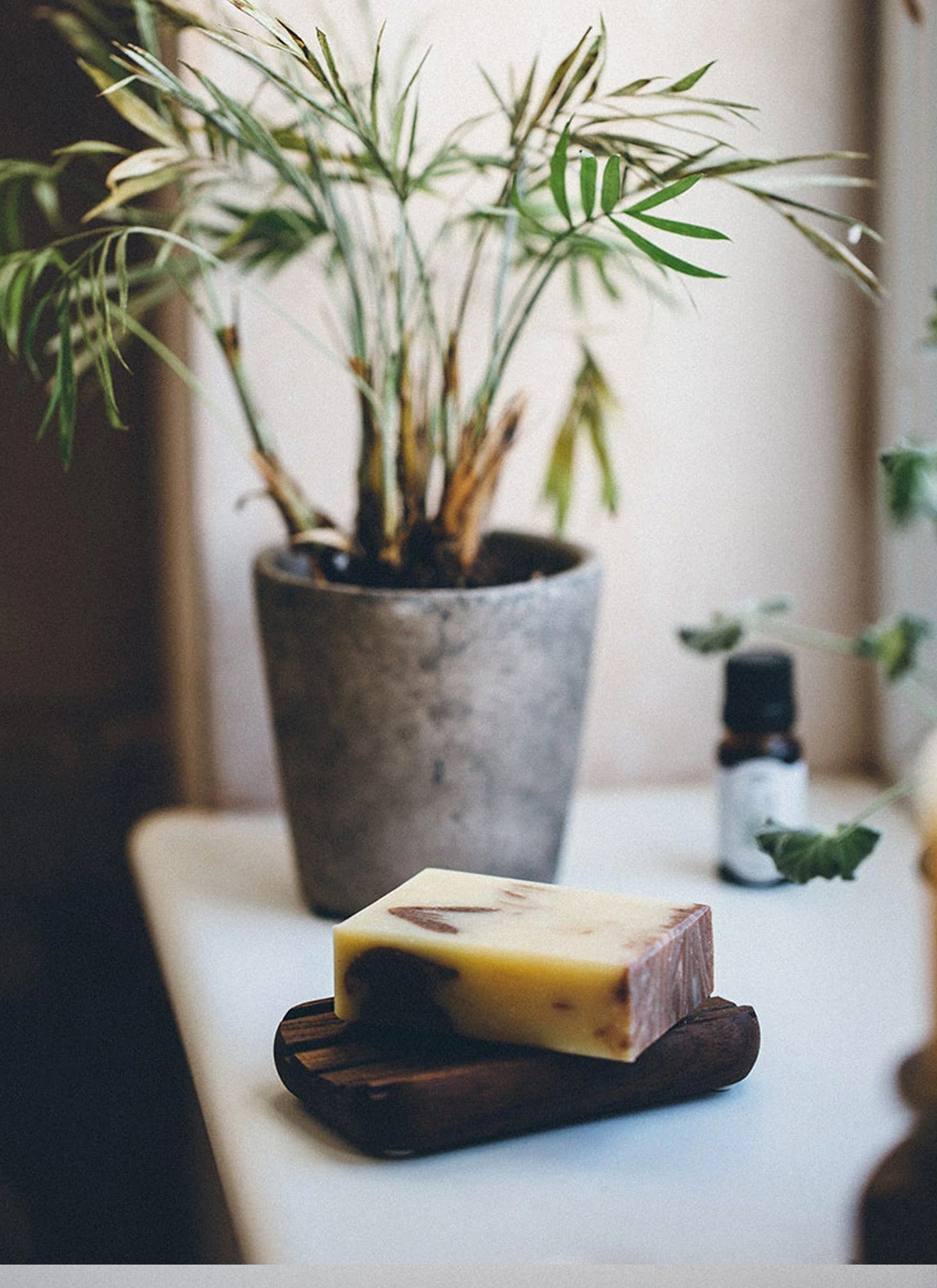 Thermowood Soap Dish