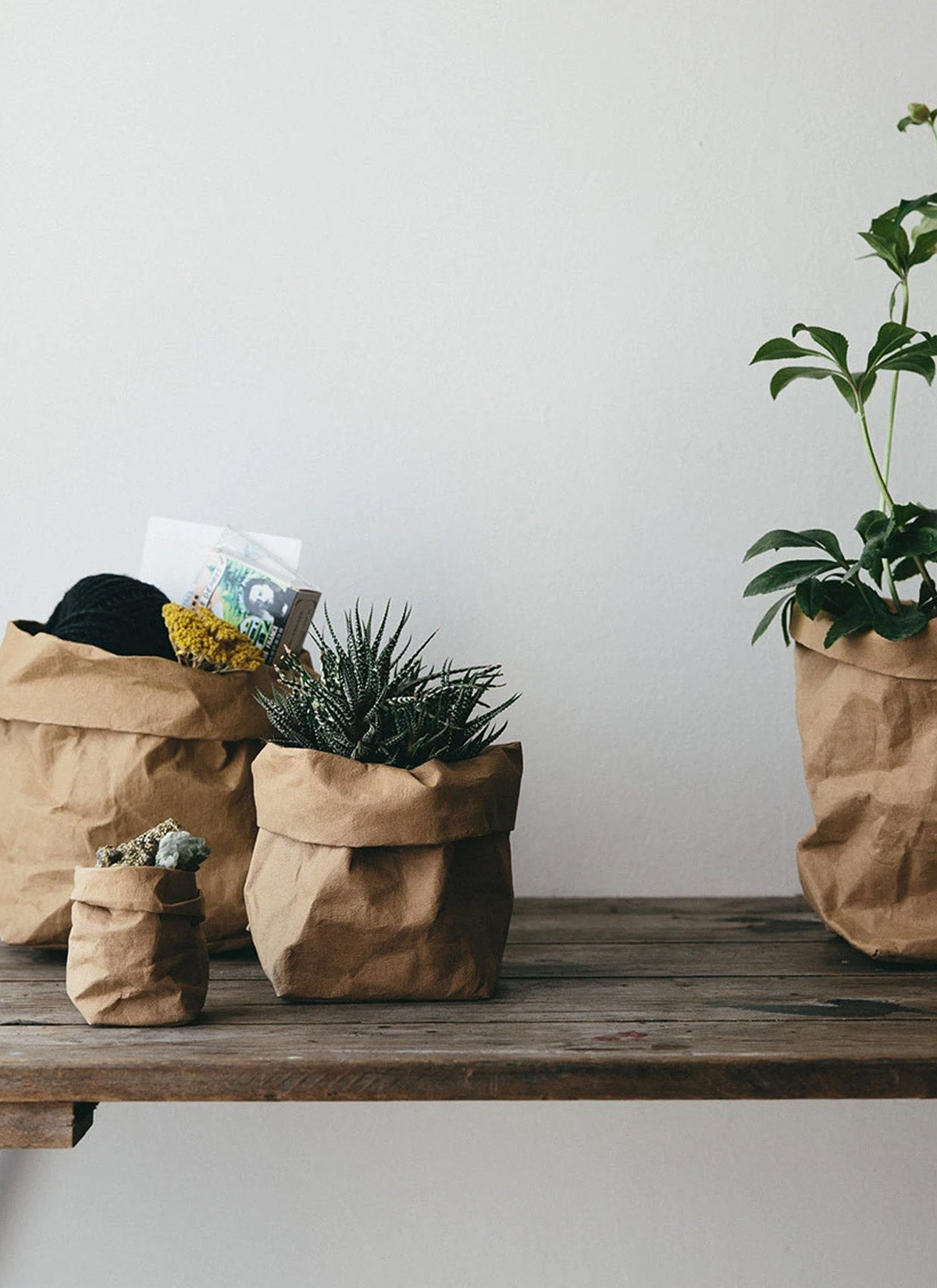 Washable Paper Bag Brown